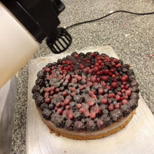 Load image into Gallery viewer, multiSPRAY+ Food Spray Gun